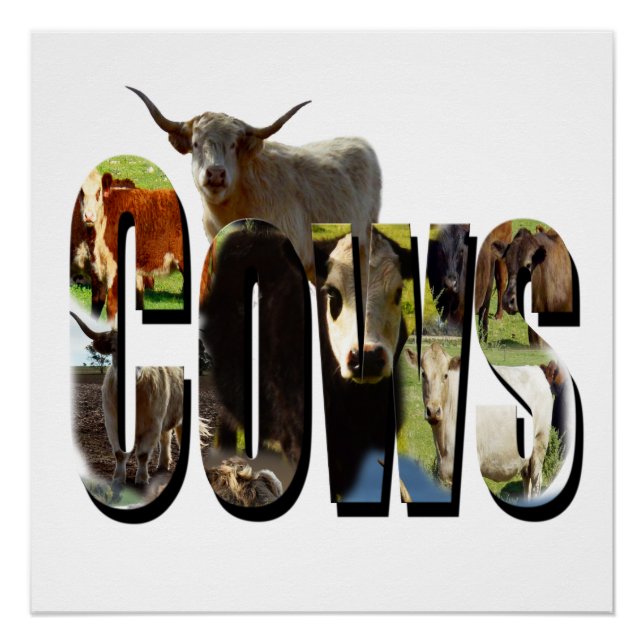 Cows Picture Logo With Cows,  Poster (Front)