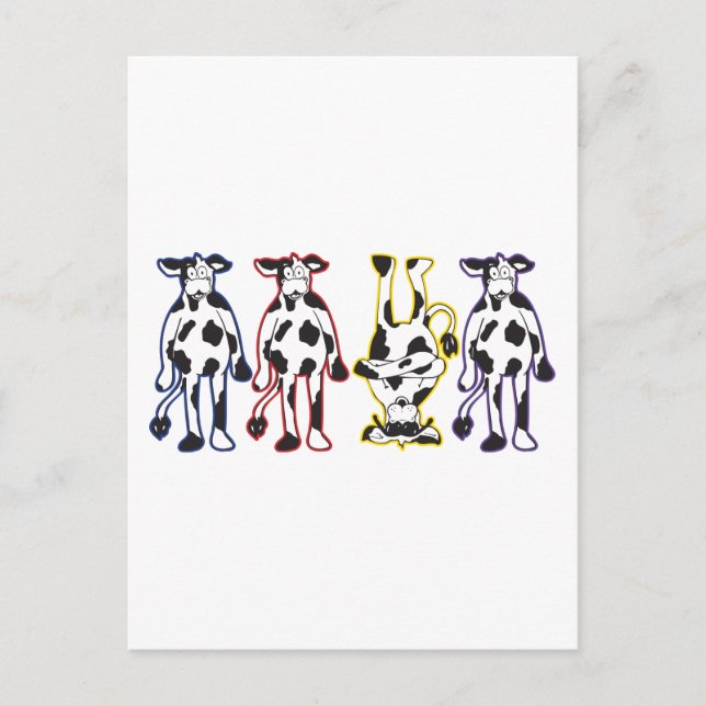 cows postcard (Front)