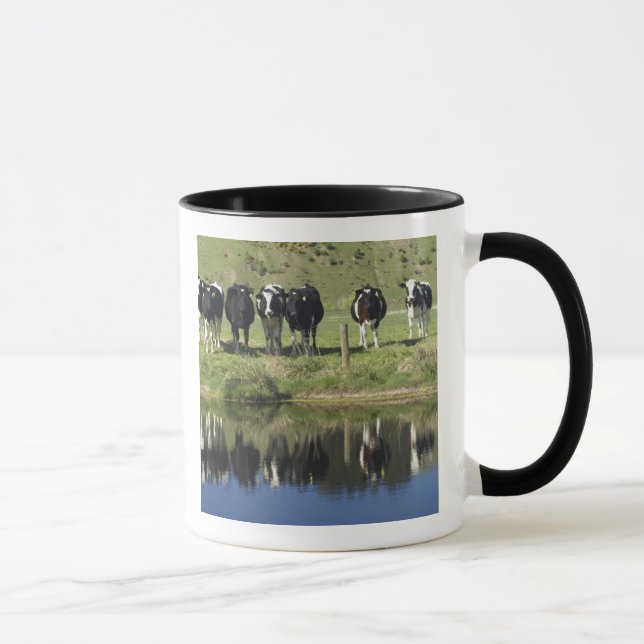Cows reflected in canal, Henley, Taieri Plain, Mug (Right)