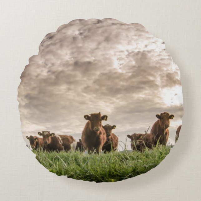 Cows Round Cushion (Front)