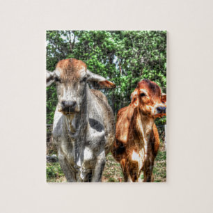 COWS RURAL QUEENSLAND AUSTRALIA ART EFFECTS JIGSAW PUZZLE