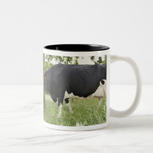 Cows standing face to face behind tree Two-Tone coffee mug