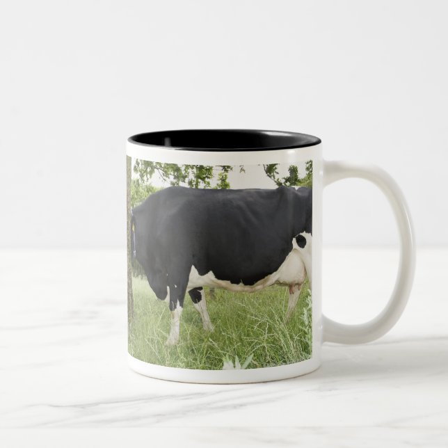 Cows standing face to face behind tree Two-Tone coffee mug (Right)