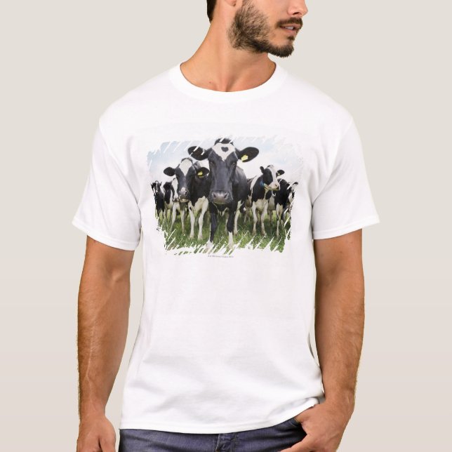 Cows standing in a row looking at camera T-Shirt (Front)