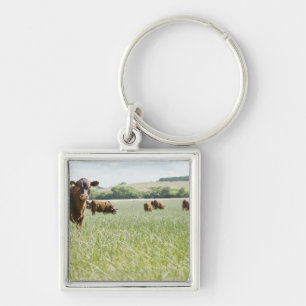Cows standing in meadow key ring