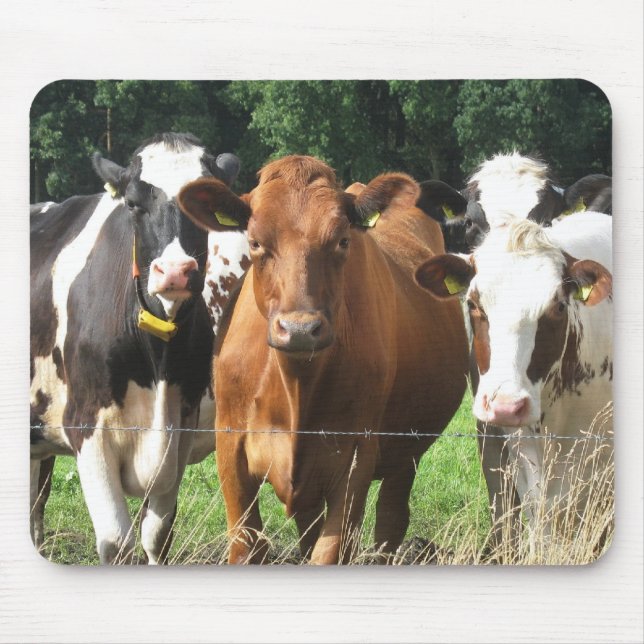 Cows Themed Gifts: Forever Friends Mousepad (Front)
