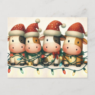 Cows with Santa Hat Christmas lights Holiday Postcard
