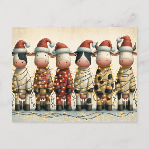 Cows with Santa Hat Christmas lights Holiday Postcard