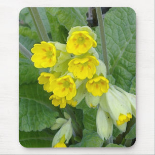 Cowslip Flowers Mousepad