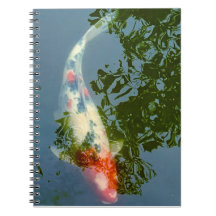 coy fish notebook