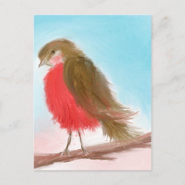 Coy Robin Postcard (Front)