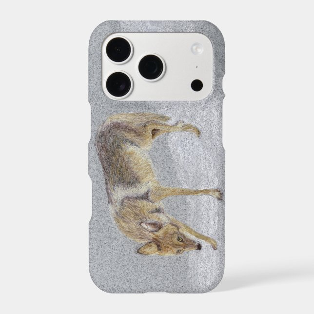 Coyote (Back)
