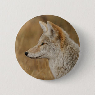 coyote 6 cm round badge