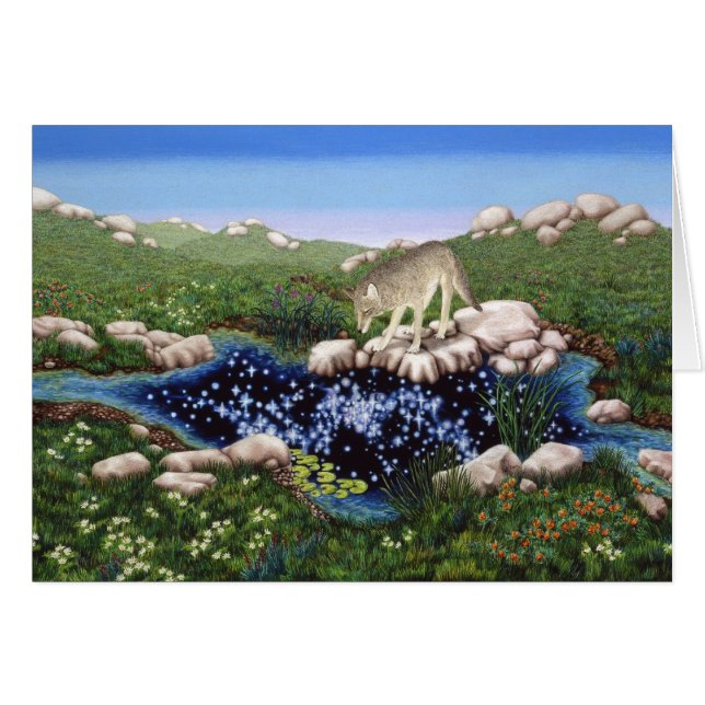 Coyote by Darlene P. Coltrain (Front Horizontal)