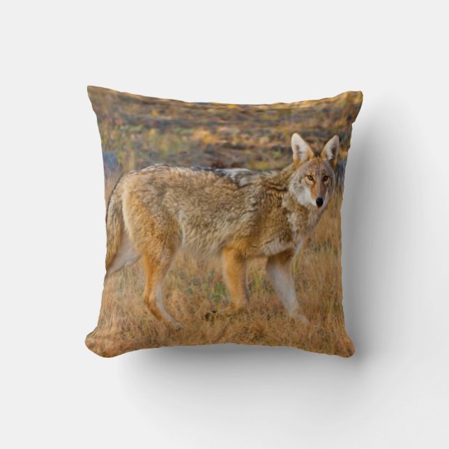 Coyote (Canis Latrans) Hunting Cushion (Front)