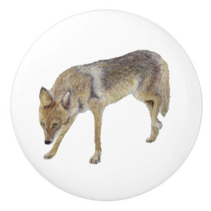 Coyote Ceramic Knob