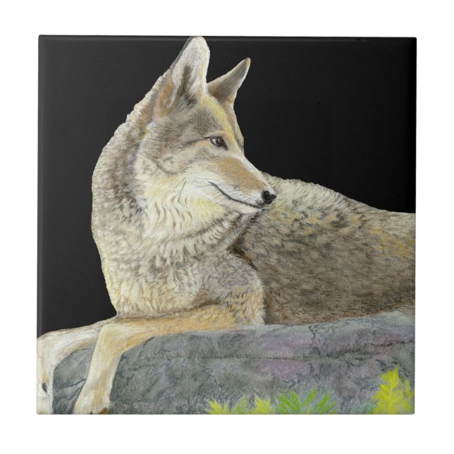 Coyote Ceramic Tile (Front)