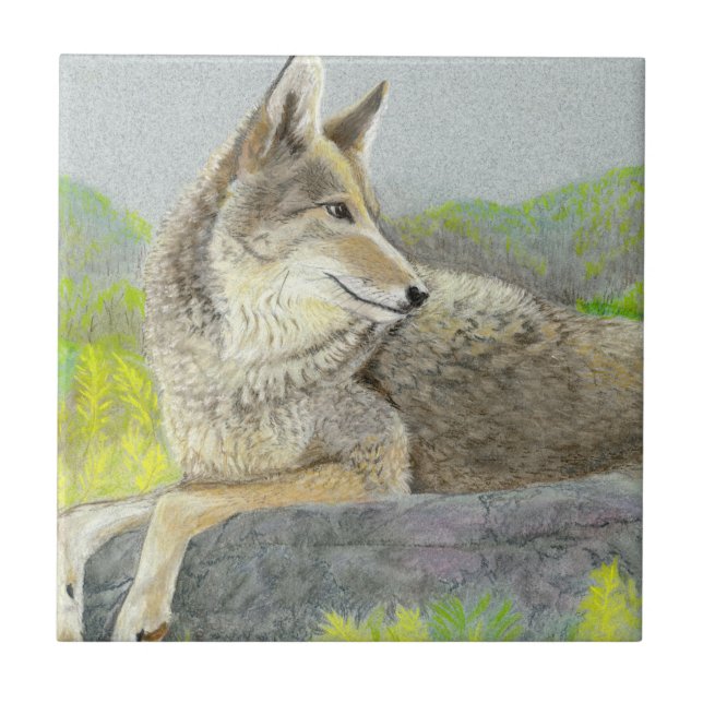Coyote Ceramic Tile (Front)