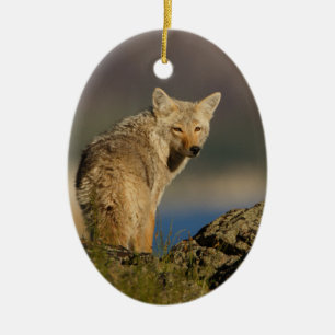 coyote ceramic tree decoration