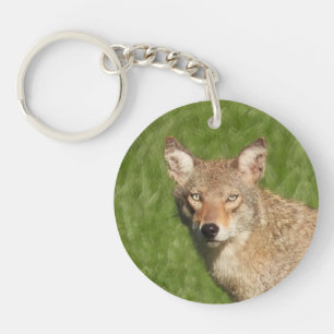 Coyote close up key ring