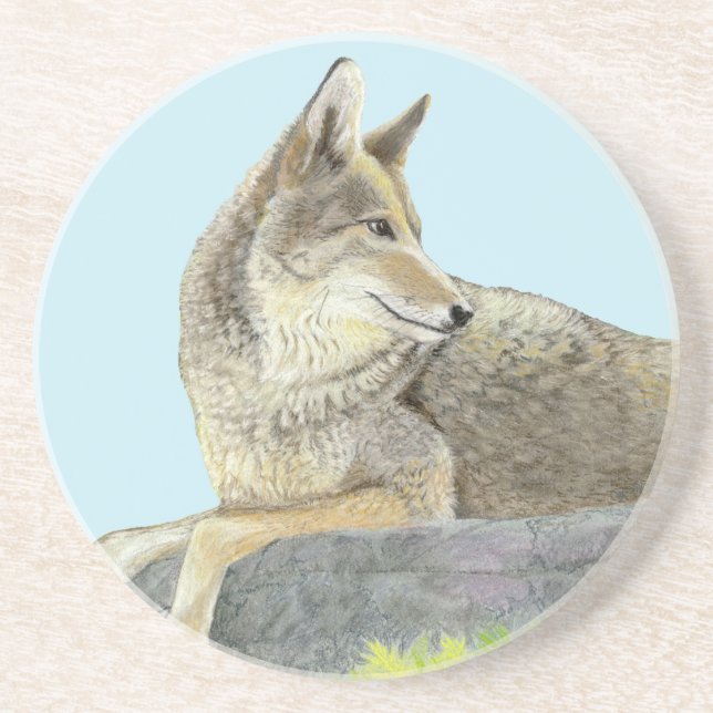 Coyote Coaster (Front)
