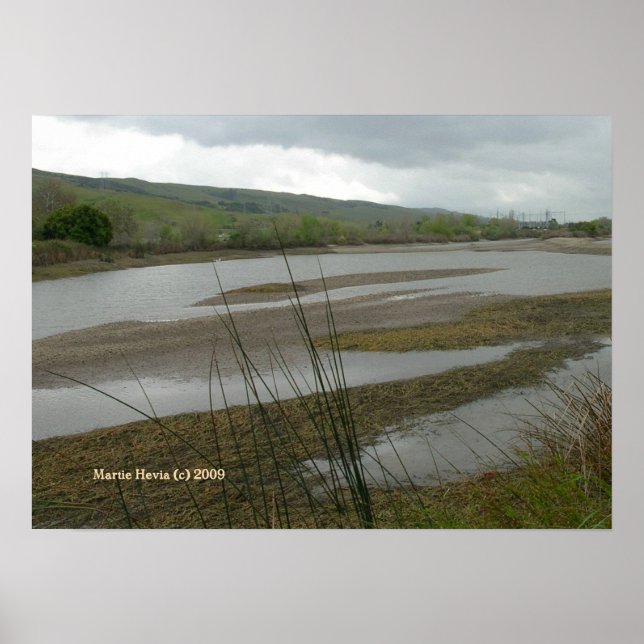 Coyote Creek Print - Select Your Frame (Front)