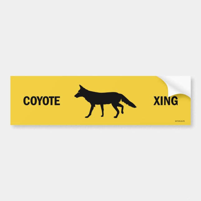 Coyote Crossing Bumper Sticker (Front)