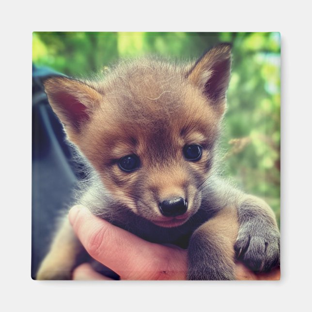 Coyote Cub Magnet (Front)
