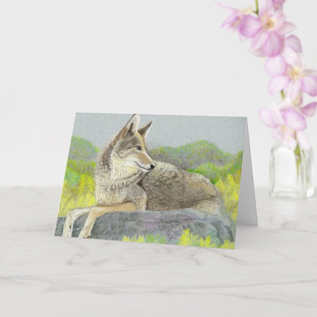 Coyote Father's Day Card (Orchid)