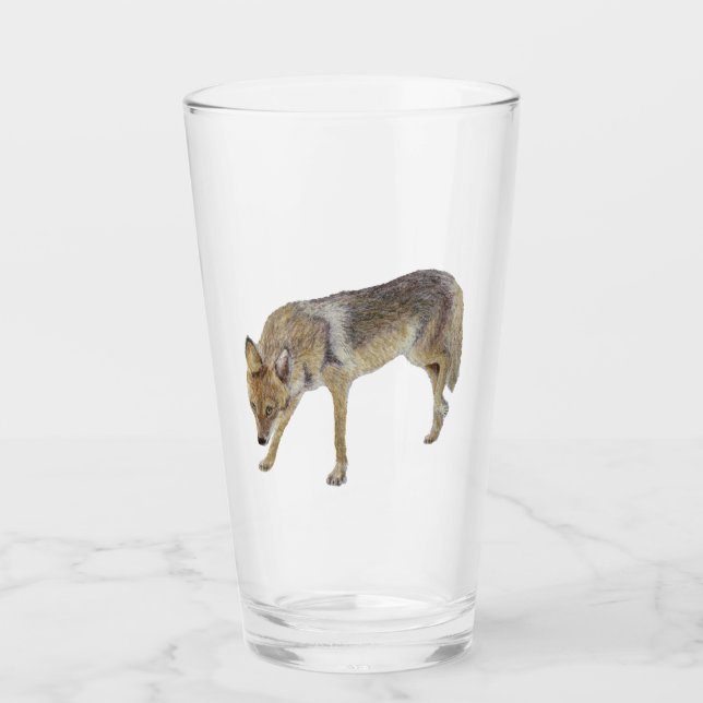 Coyote Glass (Front)