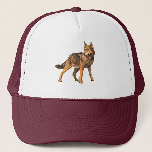 coyote hat (Front)