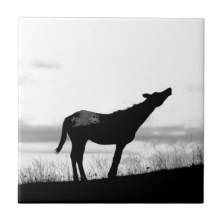 Coyote Horse Ceramic Tile