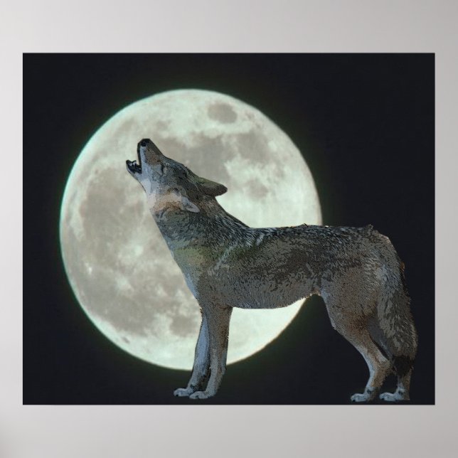 Coyote Howling at the Moon Poster (Front)