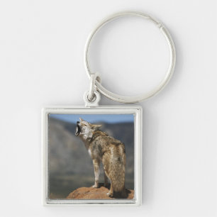 Coyote Howling From High Point Key Ring