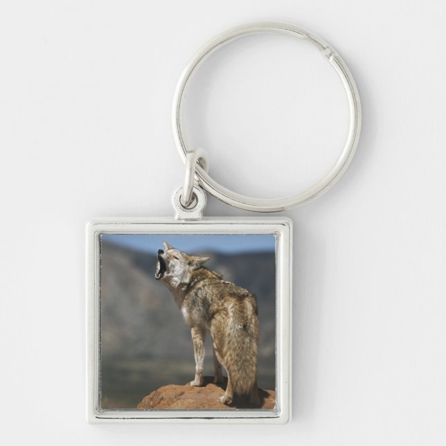 Coyote Howling From High Point Key Ring (Front)
