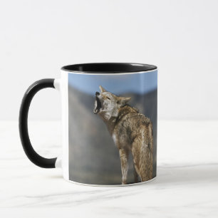 Coyote Howling From High Point Mug