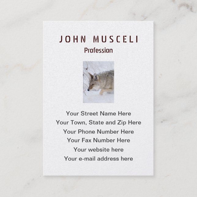 Coyote hunting in snow in Grand Tetons NP Business Card (Back)