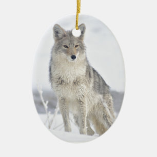 Coyote in Snow at Yellowstone Ceramic Tree Decoration