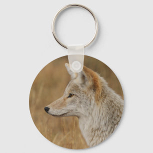 coyote key ring