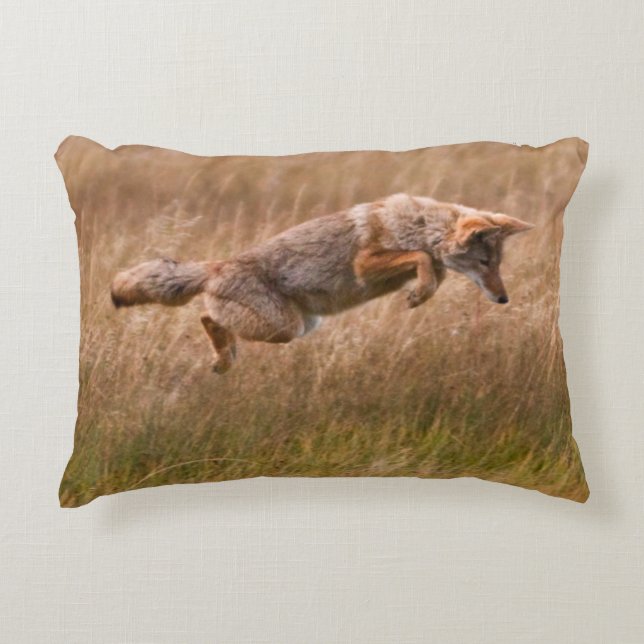 Coyote Leaping - Gibbon Meadows Decorative Cushion (Front)
