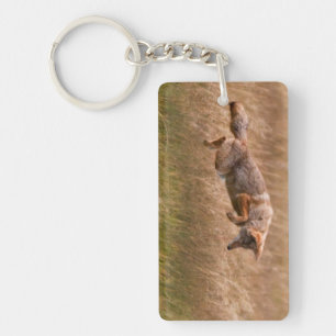 Coyote Leaping - Gibbon Meadows Key Ring