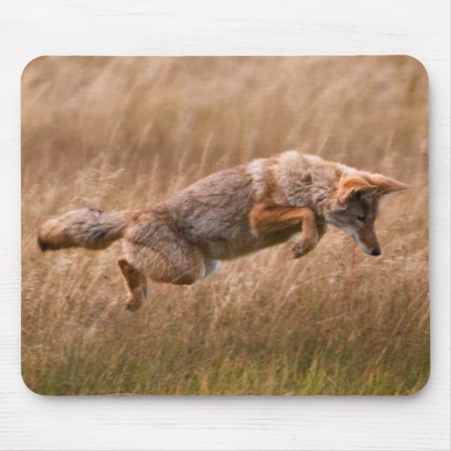 Coyote Leaping - Gibbon Meadows Mouse Pad (Front)