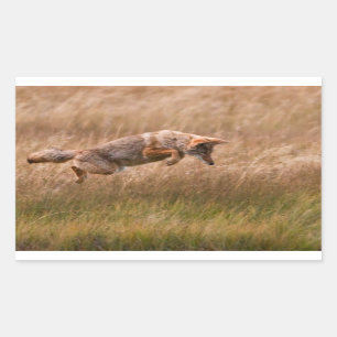 Coyote Leaping - Gibbon Meadows Rectangular Sticker