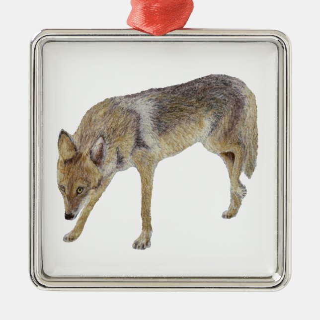 Coyote Metal Ornament (Front)
