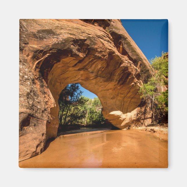 Coyote Natural Bridge - Coyote Gulch - Utah Magnet (Front)