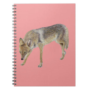 Coyote Notebook