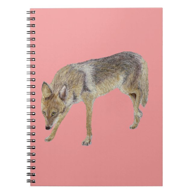 Coyote Notebook (Front)