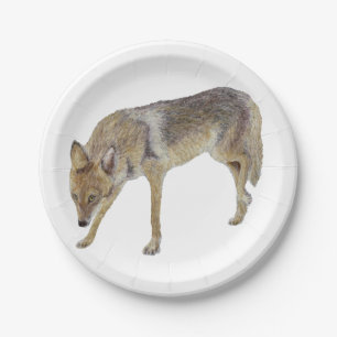 Coyote Paper Plate