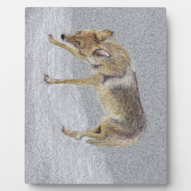 Coyote Plaque (Front)