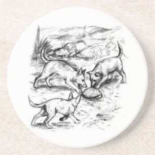 Coyote Pups Coaster